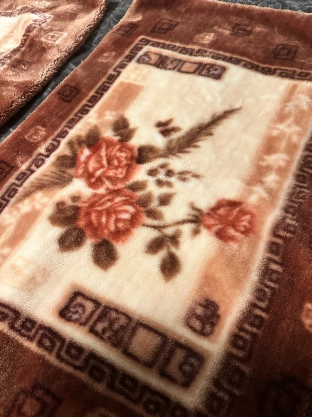 Set of TWO Plush Floral Accent Pillow Cover